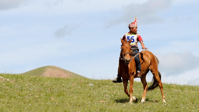 equestrian equipment