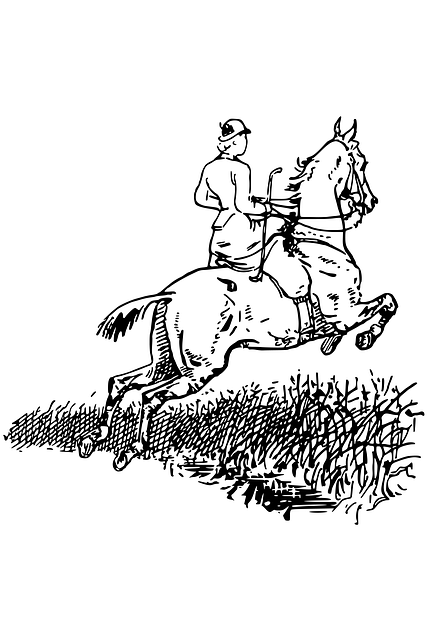 equestrian equipment