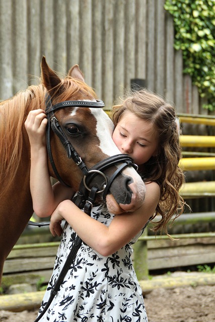 equestrian equipment