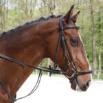 Riding Crops: Equestrian Equipment for Balance and Control