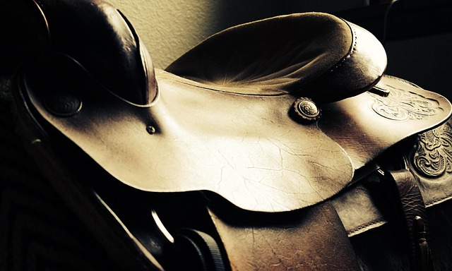 equestrian equipment
