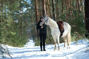 equestrian-equipment-640x480-90618537.jpeg