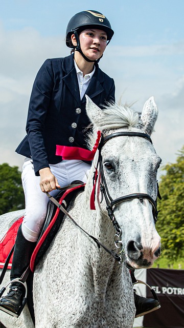 equestrian equipment
