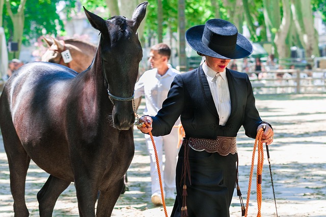 equestrian equipment