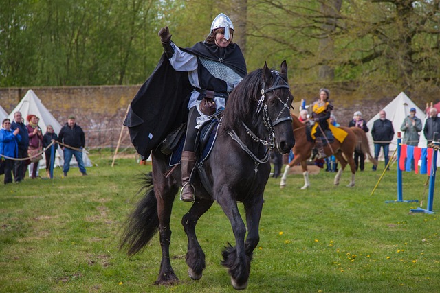 equestrian equipment