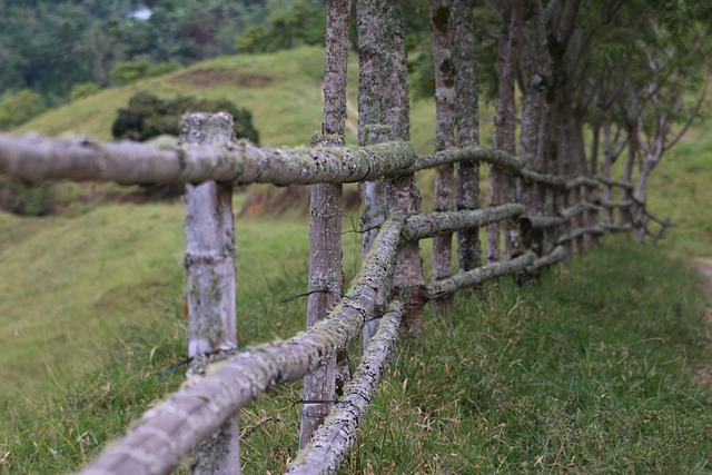 fencing equipment