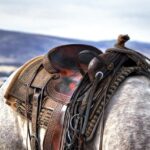 Timing Mechanisms: Fencing Equipment’s Historical to Modern Safety Evolution