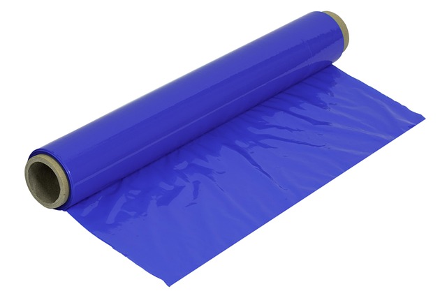 fencing foils