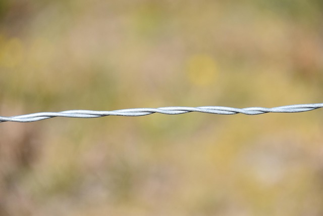 fencing foils