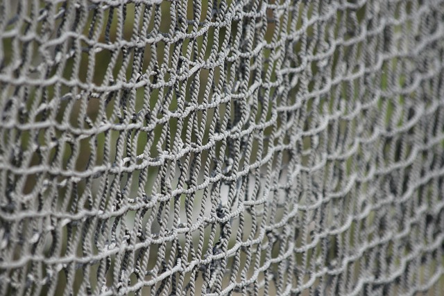 fencing foils