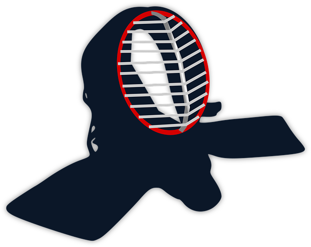fencing foils