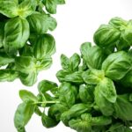 Preserving Flavors: Comprehensive Methods from Spices to Freezing