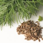 Unleash Flavor with Seasoning Bases and Flavoring Powders