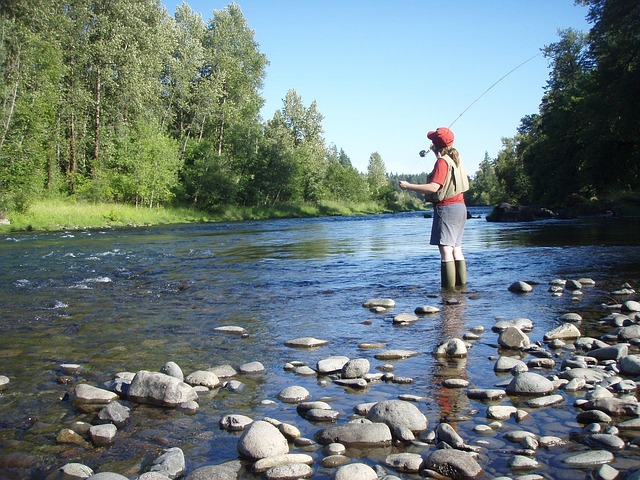 fly fishing flies