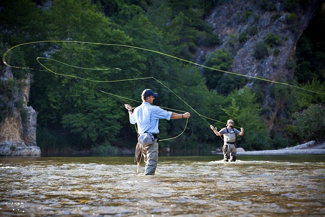 fly fishing flies