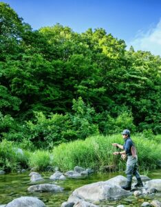 fly-fishing-flies-640x480-1551092.jpeg