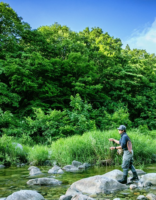fly-fishing-flies-640x480-1551092.jpeg