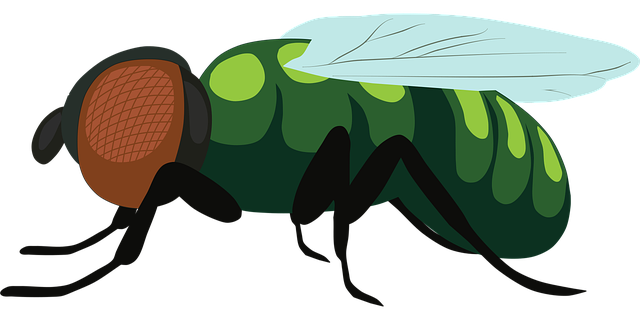 fly fishing flies