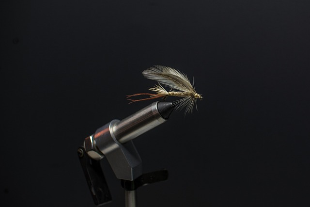 fly fishing flies