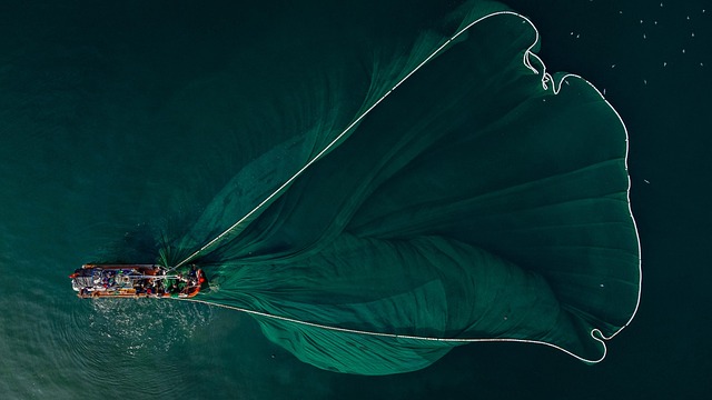 fly fishing flies
