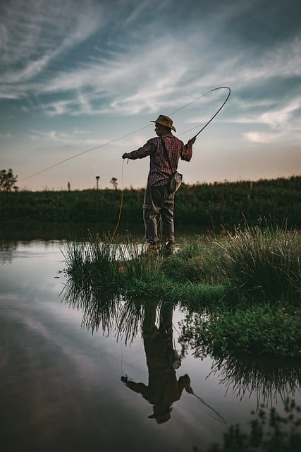 fly fishing flies