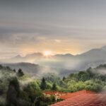 Optimizing Garden Houses: Access Points for Future Trends