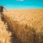 Preservatives: Safety, Impact, and High Fiber Cereal Techniques