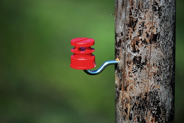 insulated tumblers