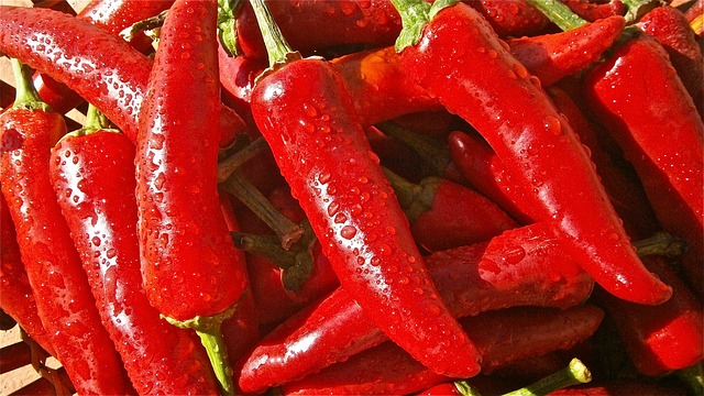 jalapenos peppers