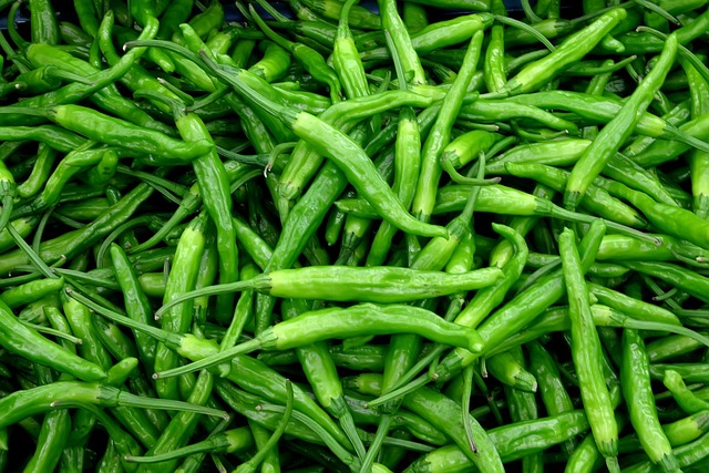 jalapenos peppers