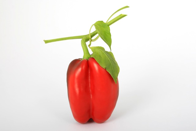 jalapenos peppers