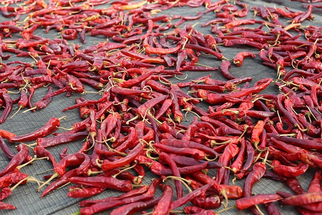 jalapenos peppers