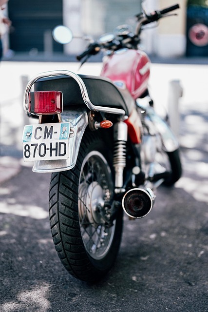 license plate frames