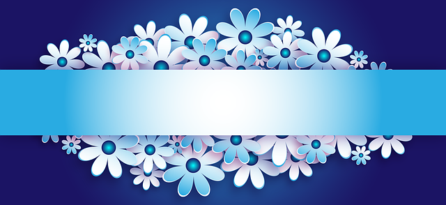 license plate frames