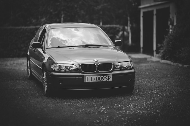 license plate frames