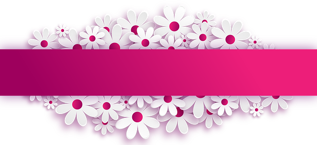 license plate frames