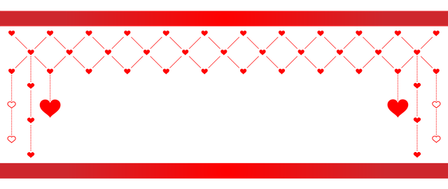 license plate frames