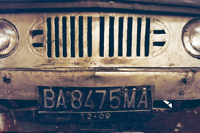 license plate frames