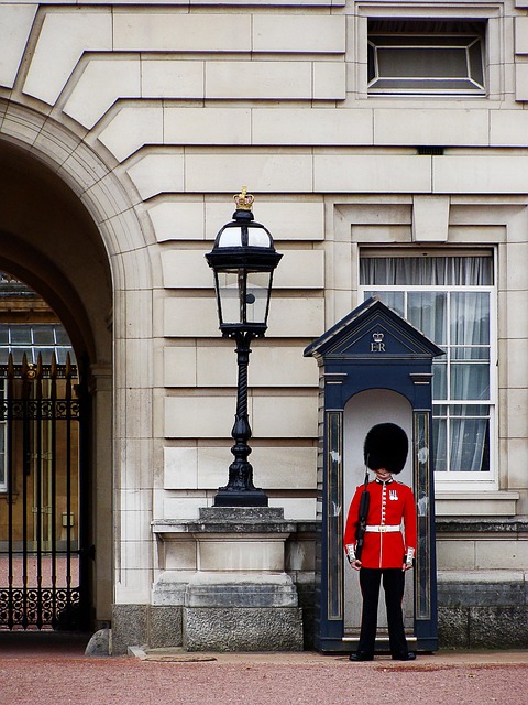 light guards