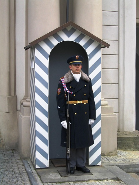 light guards