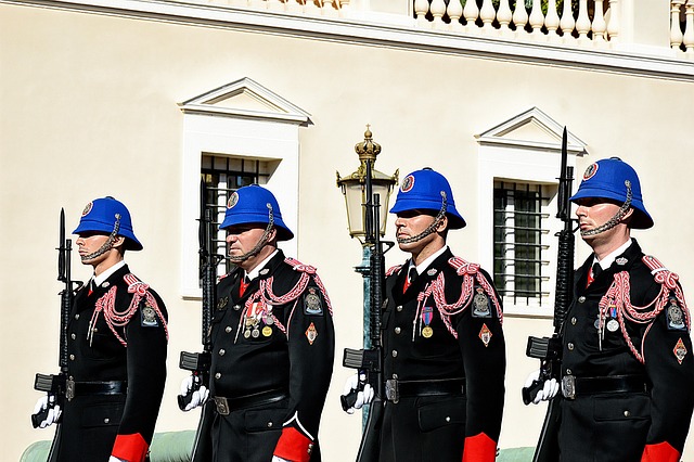 light guards