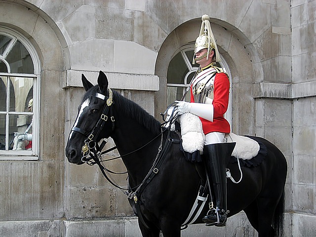 light guards