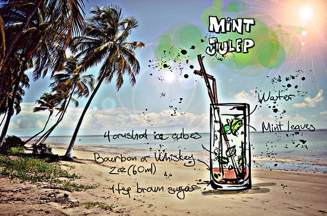 mint julep cups