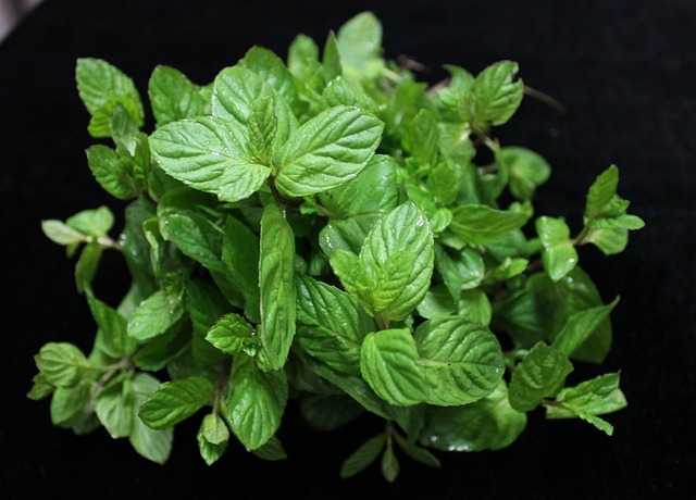 mint julep cups