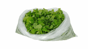mint-julep-cups-640x480-74464259.png