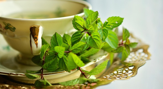 mint julep cups