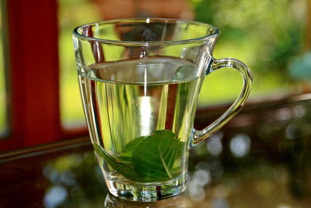 mint julep cups