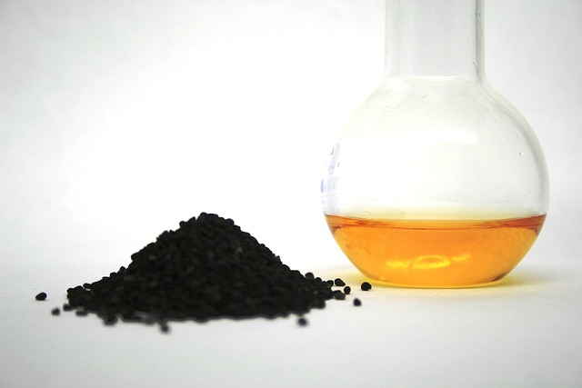 oil dispensing oil sprayers