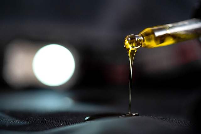 oil dispensing oil sprayers