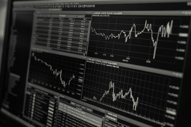 personal finance software